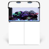 Waterbox Aquariums INFINIA PENINSULA 4820 PLUS Edition