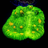 Space Invader Chalice