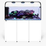 Waterbox Aquariums INFINIA PENINSULA 6025 PLUS Edition