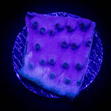 Purple Scroll Coral
