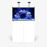 Waterbox Aquariums MARINE X 90.3 PLUS Edition
