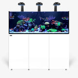 Waterbox Aquariums INFINIA Reef 190.5 PLUS Edition