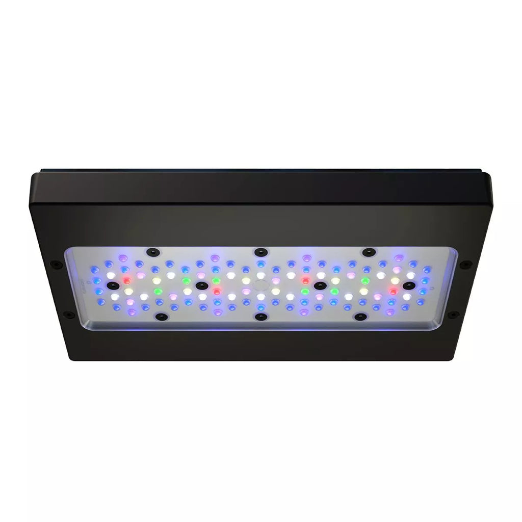 ライト・照明器具 Radion XR30 G3 ecotech marine Ecotech Marine Radion LED Light PRO GEN 3 - Sydney Discus